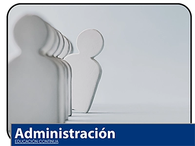 Licenciatura 2
